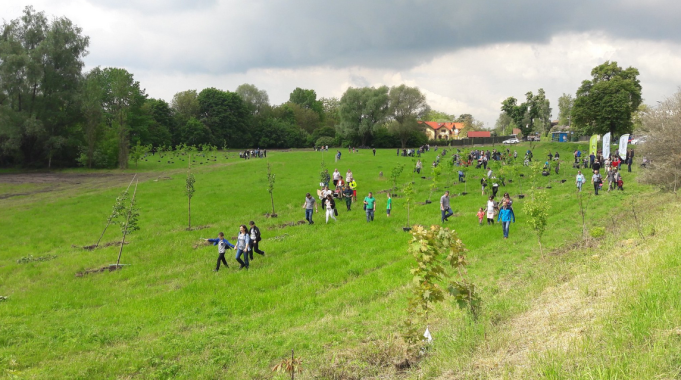 Powstał pierwszy Park Krakowian. W nim dwieście nowych drzew