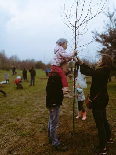 174 małych krakowian ma od dziś swoje drzewa. To kolejny już Park Krakowian