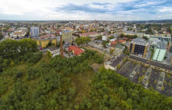 Konserwator zabytków nie chce 