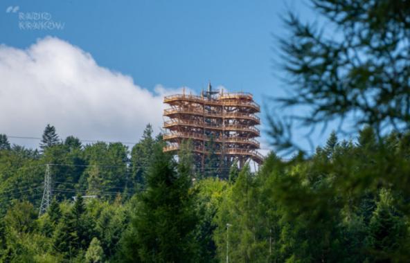 Krynicka ścieżka w koronach drzew znów jest otwarta