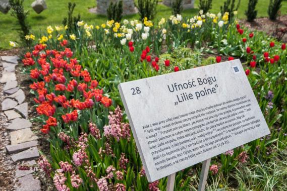 Małopolskie Ogrody Biblijne