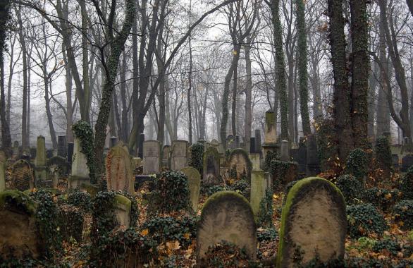  Renowacja kolejnych 150 zabytkowych macew na cmentarzu żydowskim