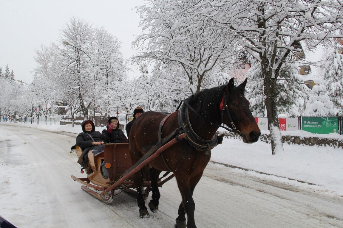 Fot. P. Korczak