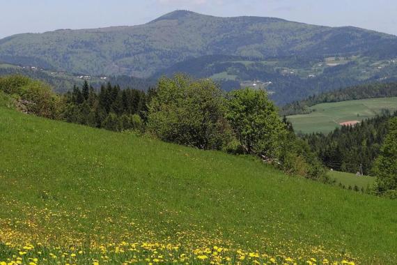 Wieża widokowa na Mogielicy nie jest jeszcze otwarta, ale turystów już nie brakuje