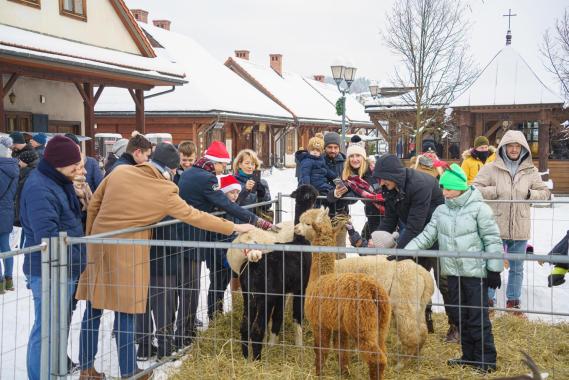 Nowy Sącz. Jarmark Bożonarodzeniowy w Miasteczku Galicyjskim