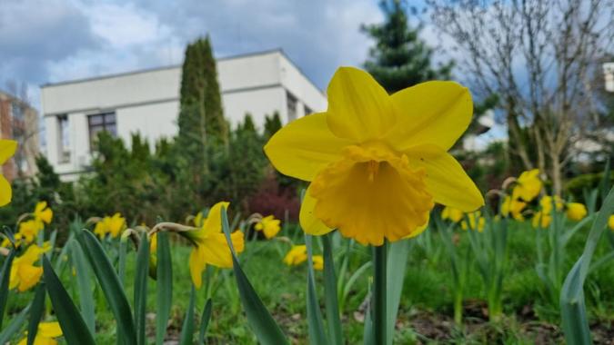 Hospicjum św. Łazarza opiekuje się też Osieroconymi