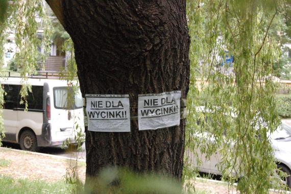 W piątek kolejny protest ws. budowy tramwaju do Mistrzejowic. „Stop wycince drzew” 