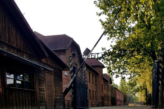 784 tys. osób zwiedziło już w tym roku Muzeum Auschwitz