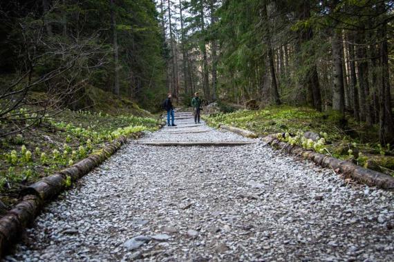 Nie wychodźmy samotnie w Tatry — apelują ratownicy TOPR