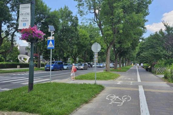 Dzikie zwierzęta w centrum Zakopanego to już codzienność. TPN znowu apeluje, żeby ich nie dokarmiać