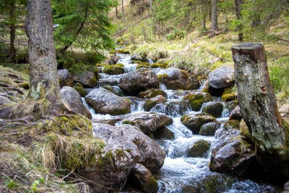 Tatry w lipcu odwiedziło niemal 820 tys. turystów