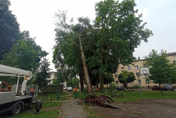 Trwa sprzątanie po nocnej nawałnicy w Oświęcimiu