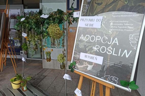 Kwiatodzielnia w Chrzanowie - cykliczna akcja adopcji roślin