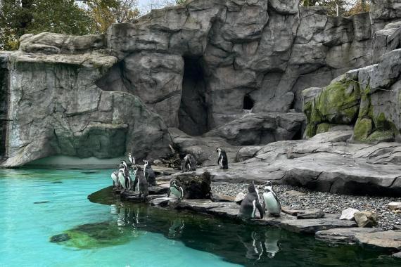 Krakowskie ZOO przygotowuje się do zimy