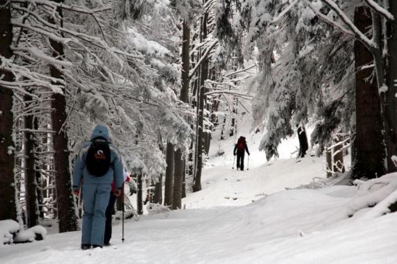 Babiogórski Park Narodowy: odczuwalna temperatura na szczycie to minus 20 stopni