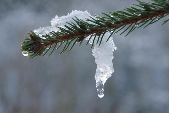 Meteorolog: od poniedziałku koniec zimy, święta w jesiennej aurze, śnieg tylko na wschodzie i w górach