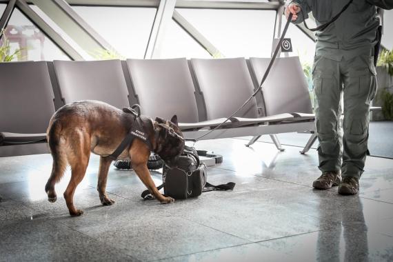 Walizka i torebka przyczyną interwencji na lotnisku Kraków Airport