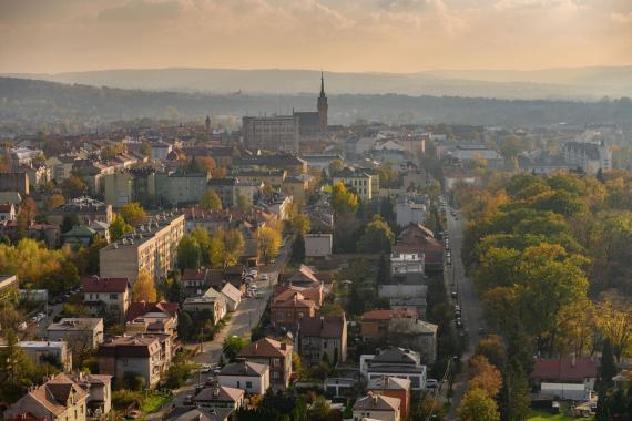 Kto mógłby zostać prezydentem Tarnowa? Sprawdziła to pracownia IBRIS. SONDAŻ