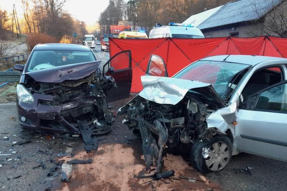 Śmiertelny wypadek w Płazie w powiecie chrzanowskim