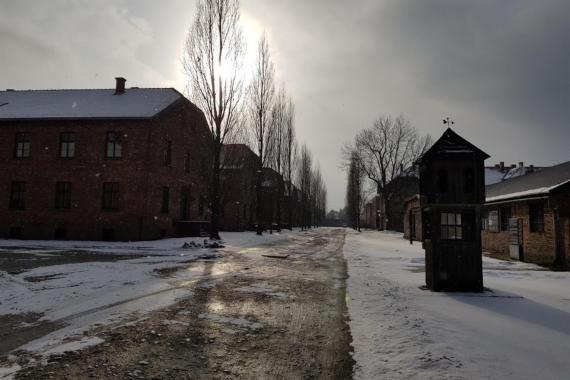 Muzeum Auschwitz na platformie X obserwuje 1,6 mln osób. W 2023 r. przybyło 172 tys.