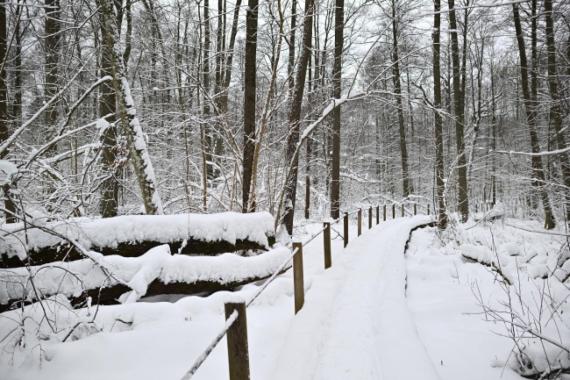 Ostatni weekend stycznia śnieżny i wietrzny; lawinowa trójka