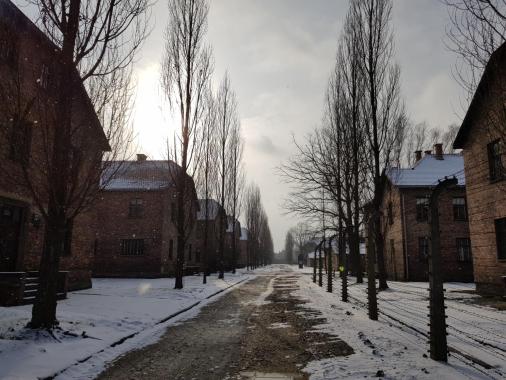 Muzeum Auschwitz: nowy projekt edukacyjny dla młodzieży z Europy