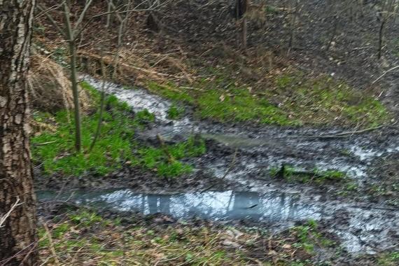 Śmierdzący problem w milionowym mieście