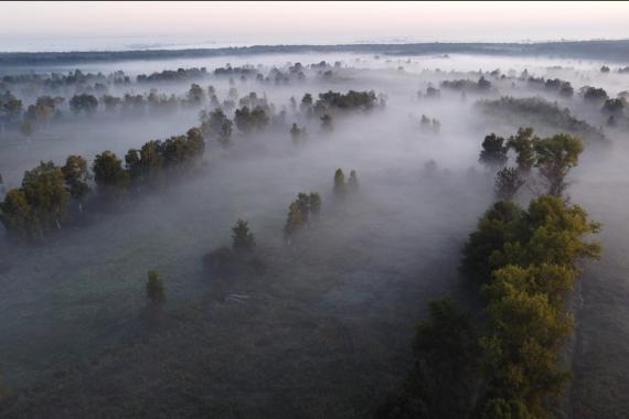 Powstaje Małopolski Przewodnik Leśny. Pierwszy odcinek dotyczył terenów wokół Krakowa, które warto odwiedzić