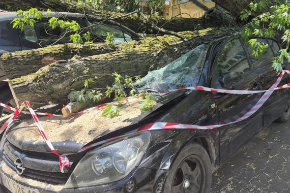 Kraków: powalony pień uszkodził cztery samochody, jeden z nich pozostaje przygnieciony od kilkudziesięciu godzin