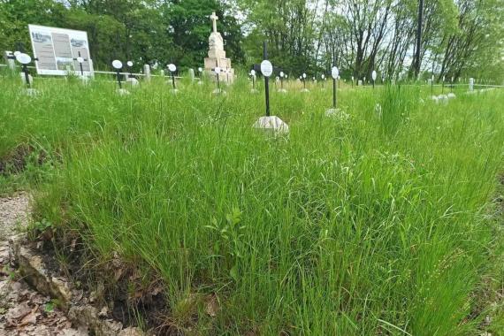 Wadliwe tabliczki i zarośnięte nagrobki - mieszkańcm Chrzanowa nie podoba się stan cmentarza wojennego