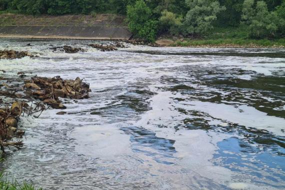 Za zanieczyszczenie wody w Wiśle w Krakowie odpowiada oczyszczalnia ścieków w Oświęcimiu? Instytucja zaprzecza