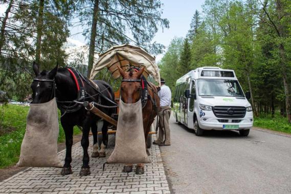 Pierwsze testy elektrycznego busa na trasie do Morskiego Oka wypadły dobrze