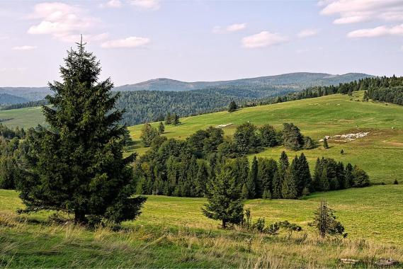 Świetne warunki turystyczne w Beskidach. Uwaga na upały!