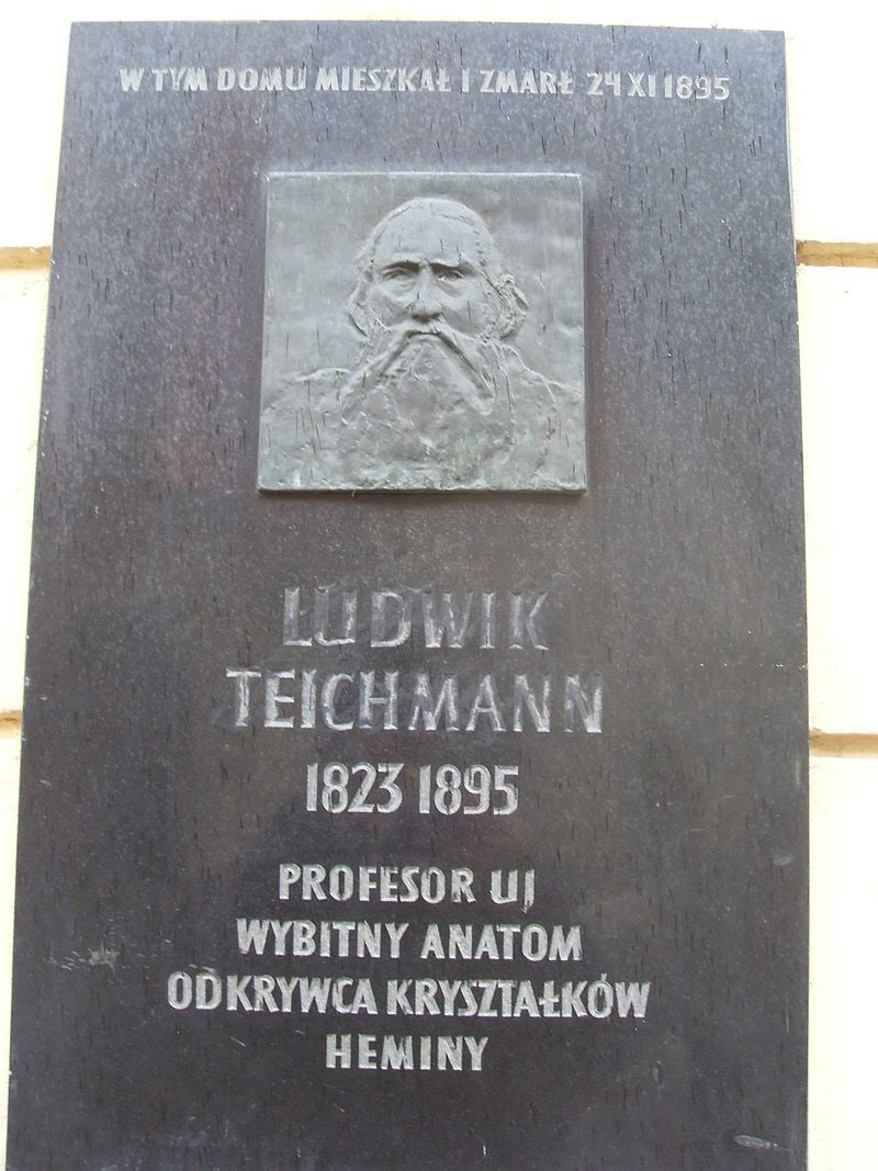 Tablica pamiątkowa ku czci L. Teichmanna na kamienicy przy ul. Floriańskiej 53 w Krakowie (fot. Miezian/Wikipedia)