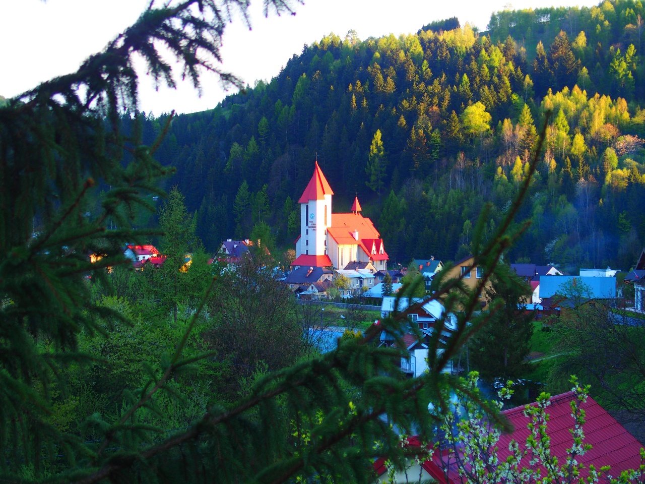 Muszyna Folwark - fot. JANUSZ OSTRĘGA