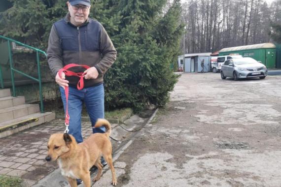 Kto przygarnie pieska choćby na czas mrozów? W tarnowskim Azylu trwa wyjątkowa akcja